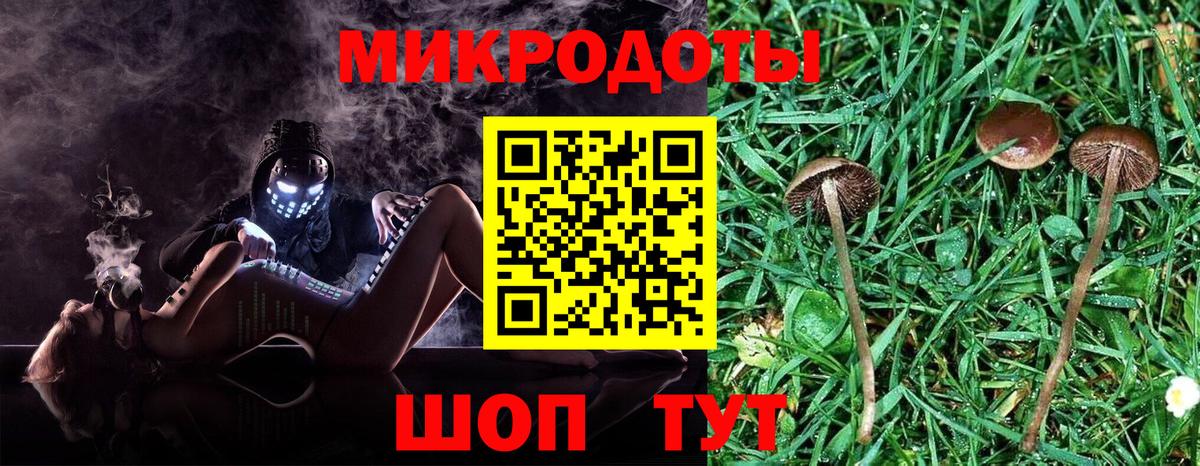 Галлюциногенные грибы мухоморы  Вход с VPN  наркотики  Рославль 